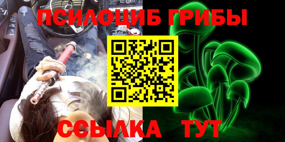 Галлюциногенные грибы Psilocybine cubensis Нижний Тагил