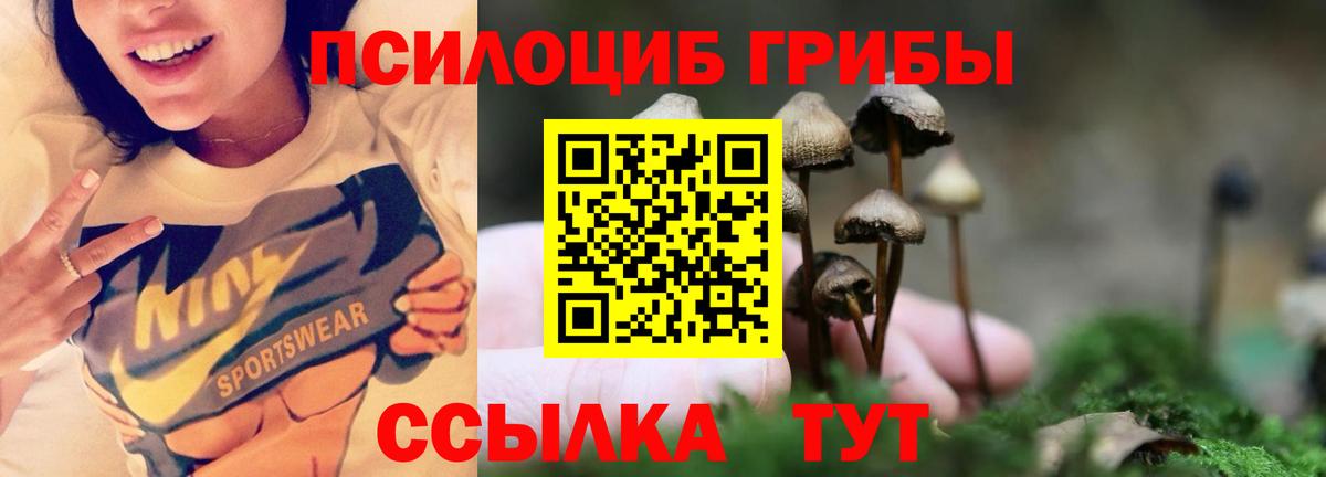 Нижний Тагил  Галлюциногенные грибы мухоморы  Вход с VPN 